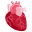 Favicon for maya